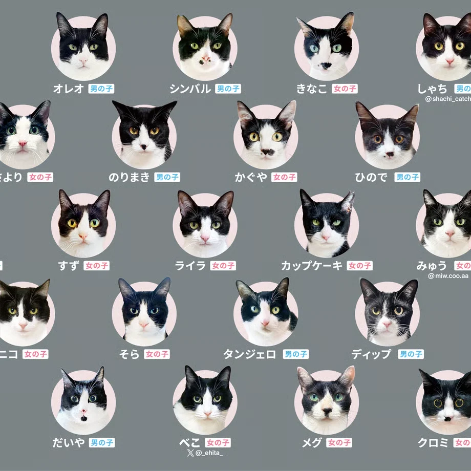 "Hachiware Match" Tuxedo Cat Memory Game - Image 5