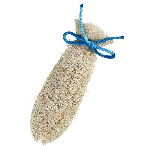 Cattyman Natural Loofah Fish Dental Toy with Silvervine (Matatabi) - Image 2