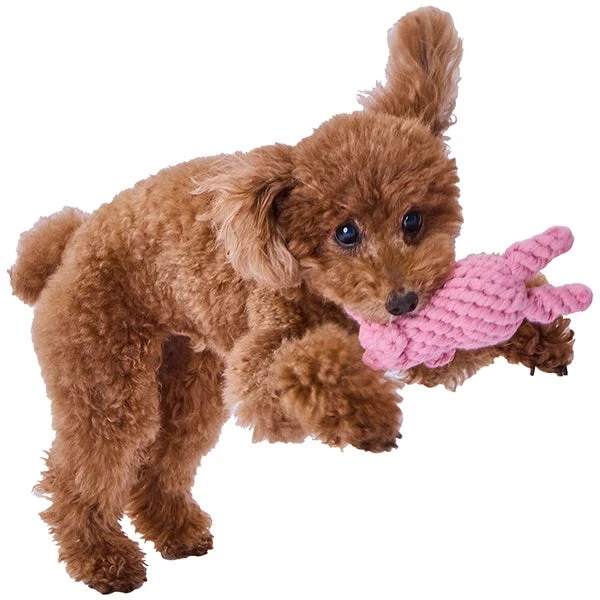 Petio AddMate "Rosa Coniglio" Dental Rope Rabbit 3-1 in Interactive Tug & Nosework Toy - Image 3