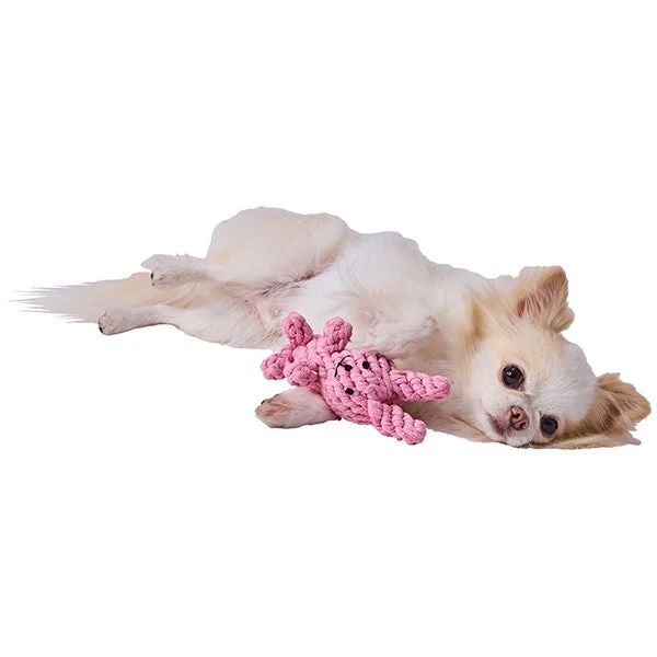 Petio AddMate "Rosa Coniglio" Dental Rope Rabbit 3-1 in Interactive Tug & Nosework Toy - Image 4