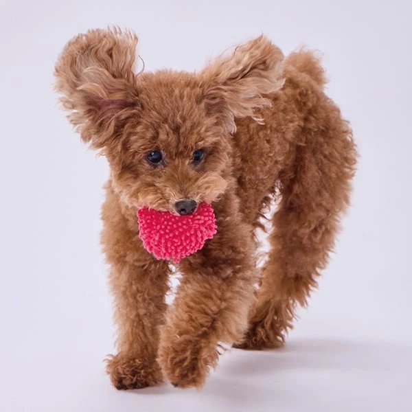 Petio "Moko Moko" Crinkle Ball Soft Plush Toy - Image 8