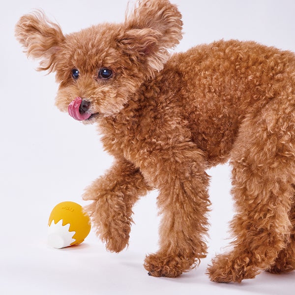 Petio Mount Fuji Soft Latex Squeaker Interactive Toy - Image 14