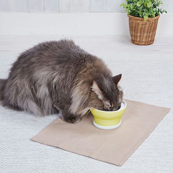 Petio Necoco Ergonomic Elevated Anti-Whisker Fatigue Bowl - Dry Food - Image 3