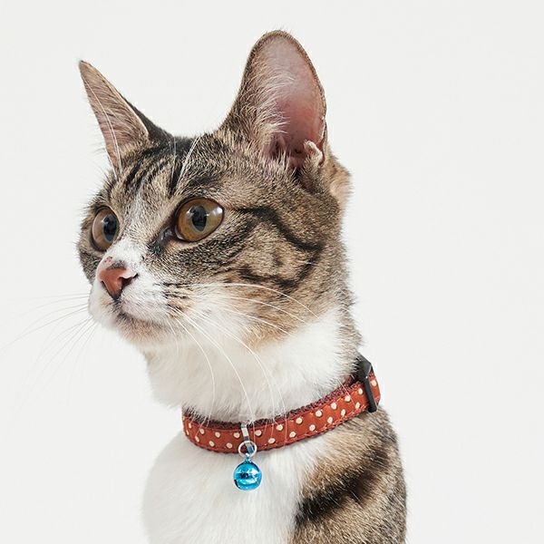 Petio Polka Dot Safety Collar with Breakaway Buckle & Integrated Bell - Image 8