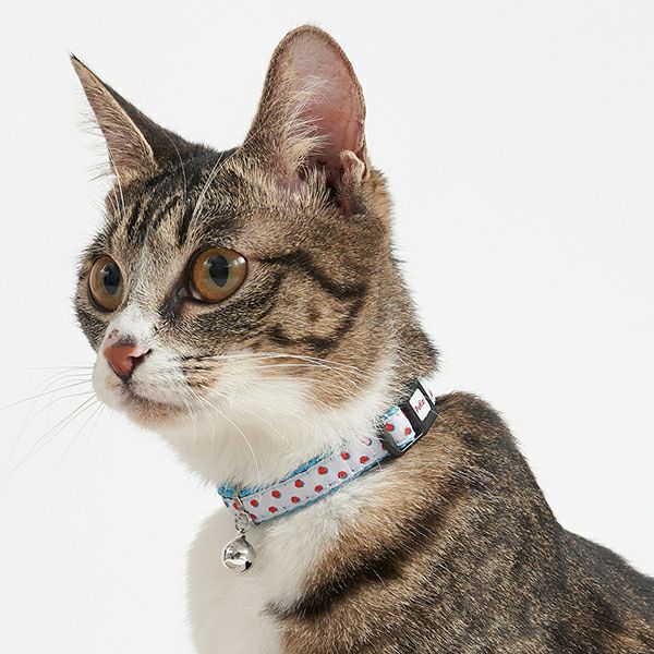 Petio Polka Dot Safety Collar with Breakaway Buckle & Integrated Bell - Image 9