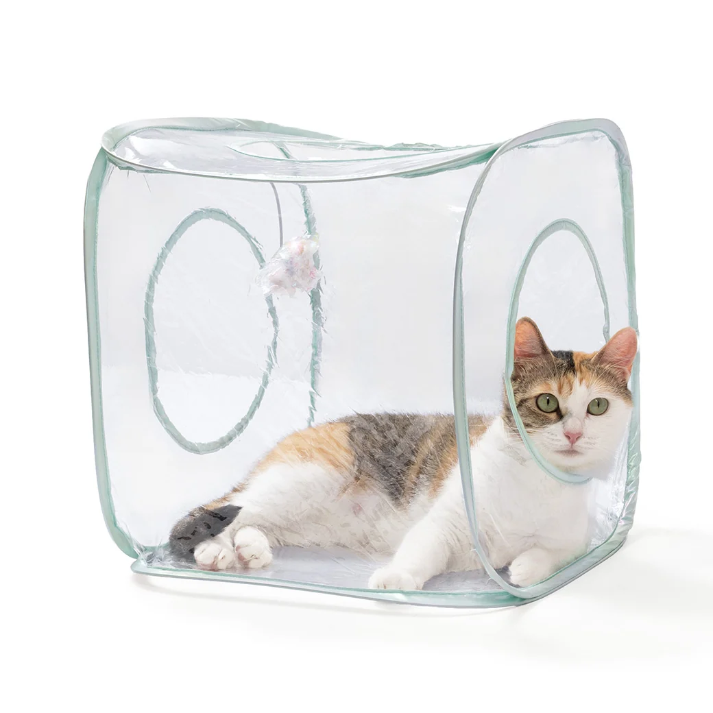 Necoichi 360° Vision Interactive Play Cube - Image 7