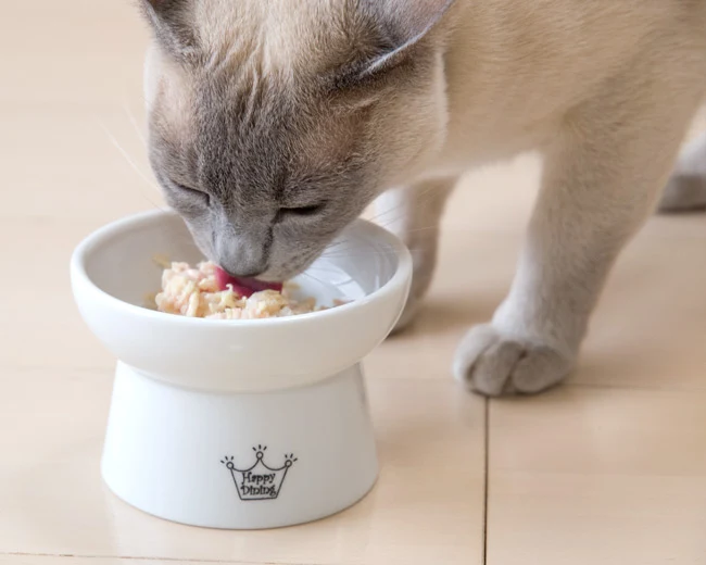 Necoichi Elevated Whiskers-Friendly Cat Food Bowl in Ergonomic Porcelain - Regular Size - Image 15