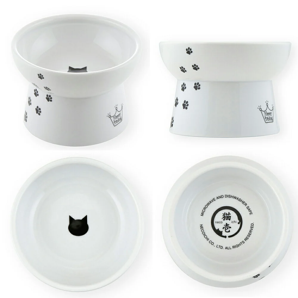 Necoichi Elevated Whiskers-Friendly Cat Food Bowl in Ergonomic Porcelain - Regular Size - Image 4