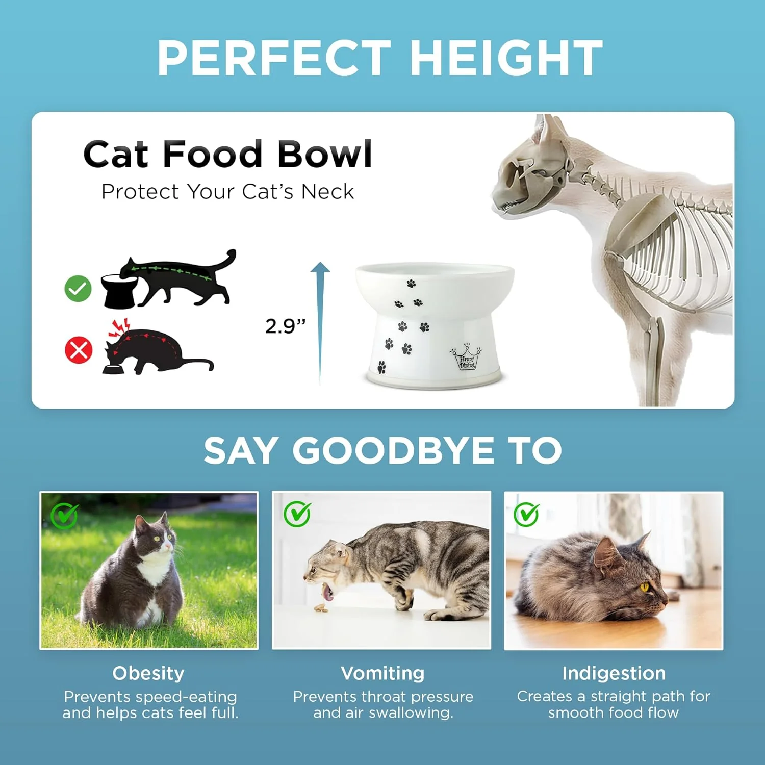 Necoichi Elevated Whiskers-Friendly Cat Food Bowl in Ergonomic Porcelain - Regular Size - Image 8
