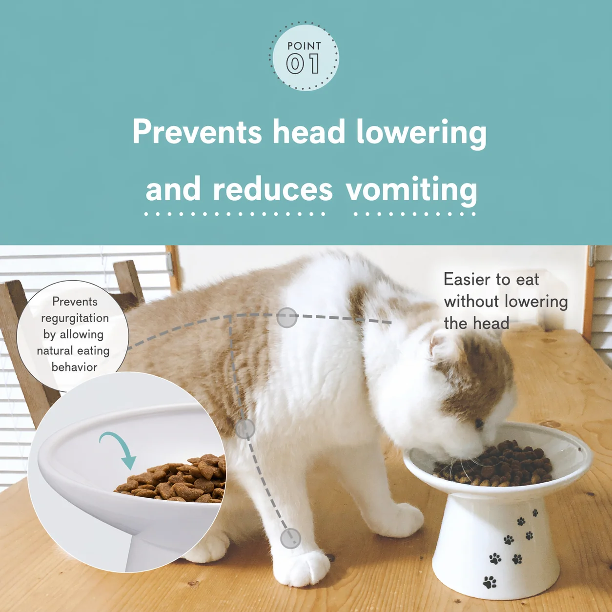 Necoichi Elevated Whiskers-Friendly Cat Food Bowl in Ergonomic Porcelain - Regular Size - Image 5