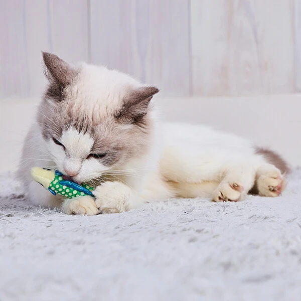 Petio Mesh-Scale Dental Chew Toy with Catnip - Image 6