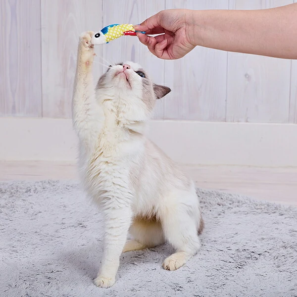Petio Mesh-Scale Dental Chew Toy with Catnip - Image 7