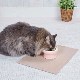 Petio Necoco Ergonomic Elevated Anti-Whisker Fatigue Bowl - Wet Food - Image 4