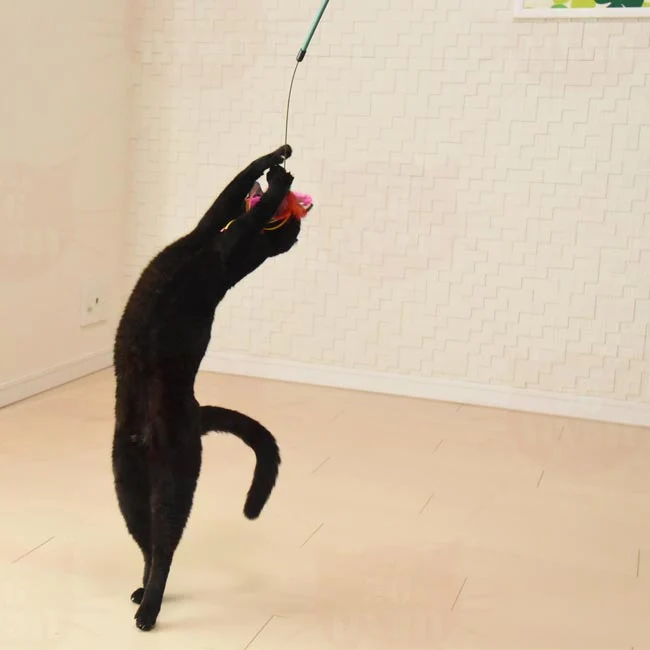Petz Route "Aurora Hunter" Teaser Wand - Image 8