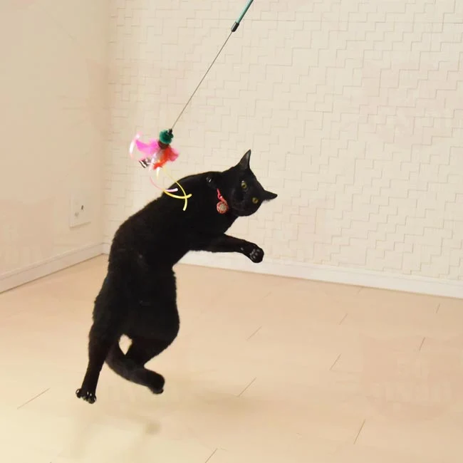 Petz Route Cat Teaser with Feathers & Ribbon - Green - Image 10