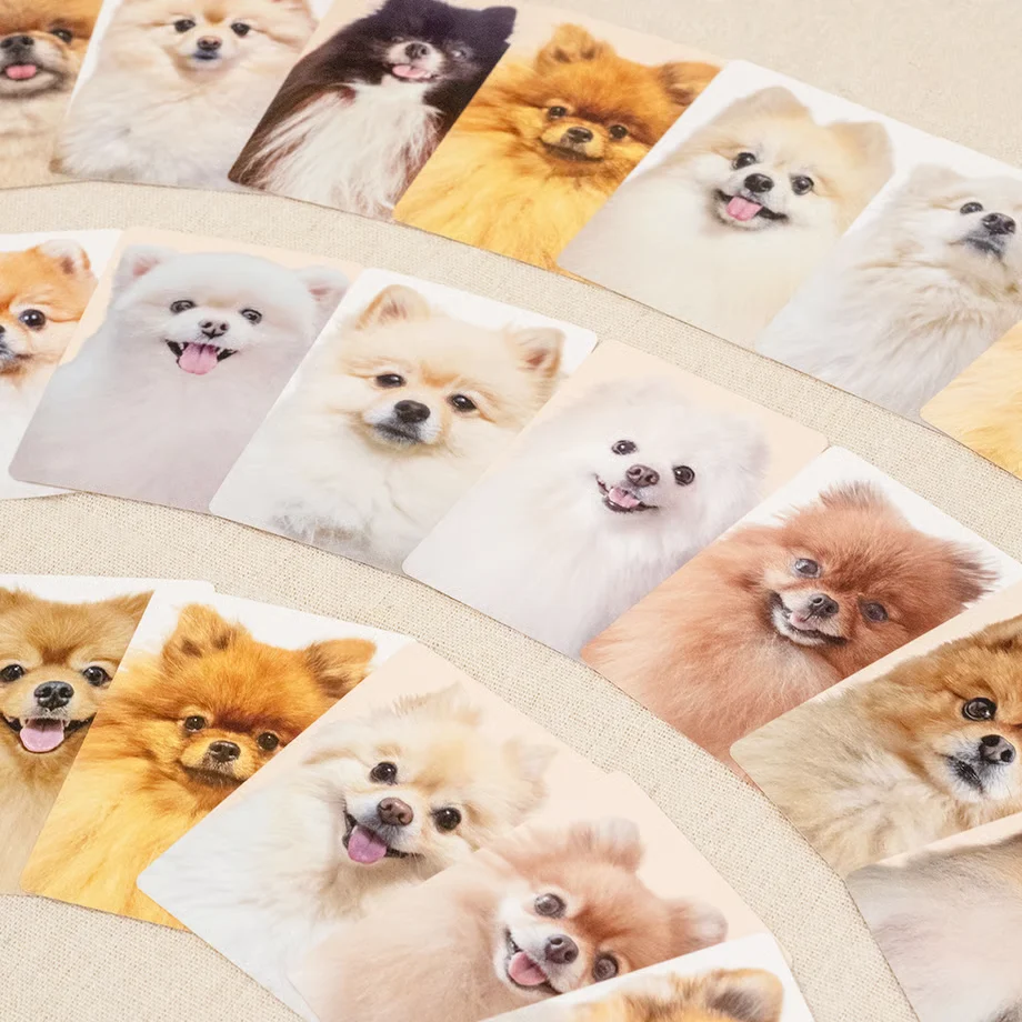 "Pome Match" Pomeranian Memory Game - Image 5